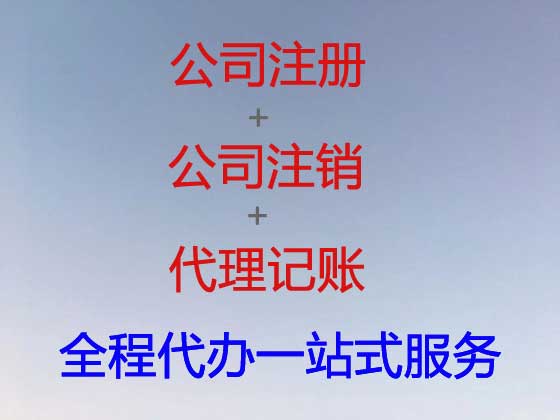朔州公司个体工商户注册-公司减资变更